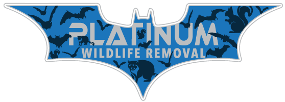 Wildlife Management LLC